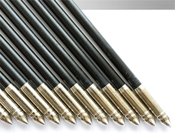 CE: Silver Diamine Fluoride: Another Arrow in the Quiver to Defeat Decay Educators Judy Bendit and Patti DiGangi discuss how silver diamine fluoride can stop tooth decay in its tracks.