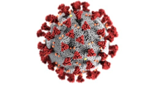 DR. STEVE JAMES: I'D SACRIFICE MY JOB OVER VACCINE MANDATES PT 2